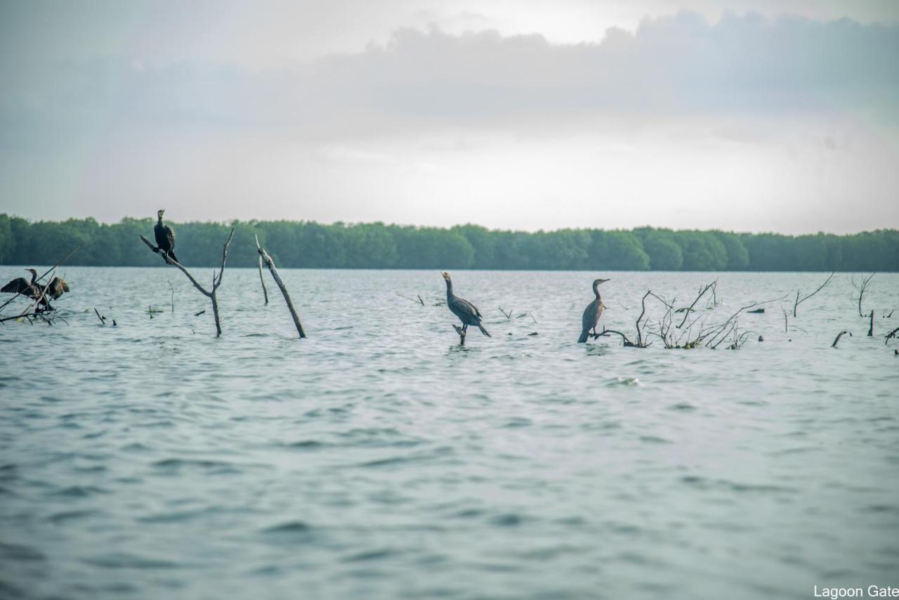 Lagoon Gate Tangalle Resort エクステリア 写真